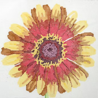 139C-12 (TS) Flambing Zinnia