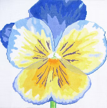 139C-14 (TS) Pansy