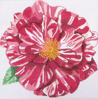 139C-16 (TS) Candy Cane Rose