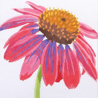 139C-2 (TS) Coneflower