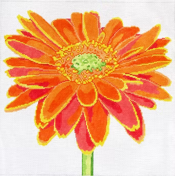 139C-23 (TS) Orange Daisy