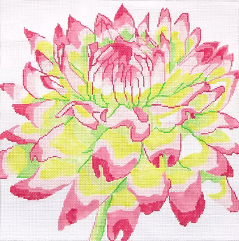 139C-29 (TS) Pink / Green Mum