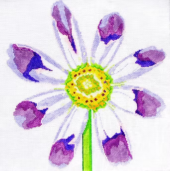 139C-31 (TS) Purple Cosmos