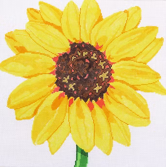 139C-5 (TS) Sunflower