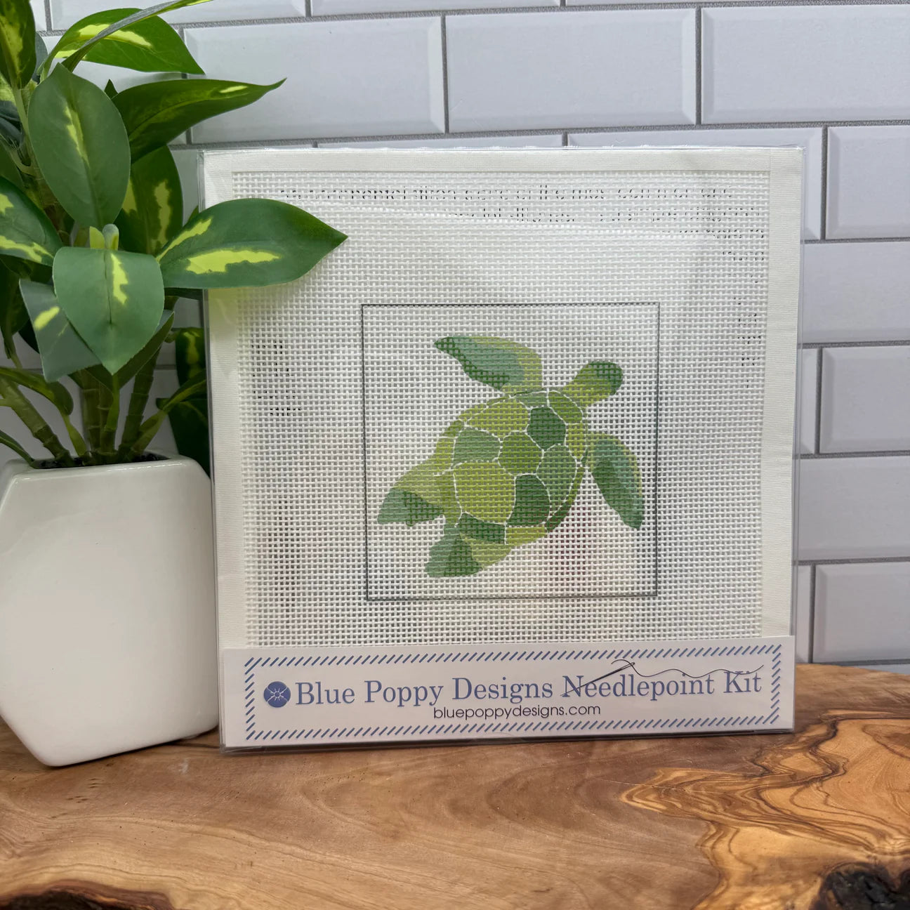 Blue Poppy Designs
