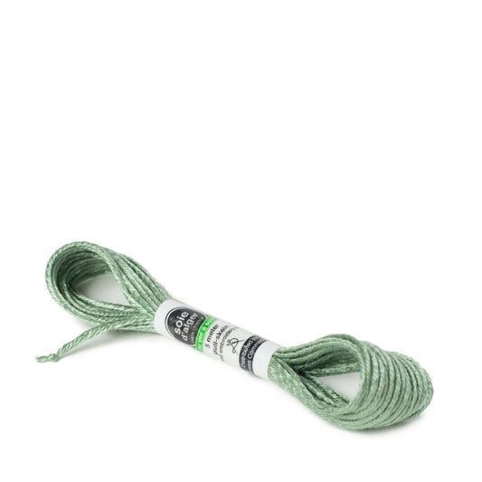 Soie D'Alger Silk - 1843 Vert Troene