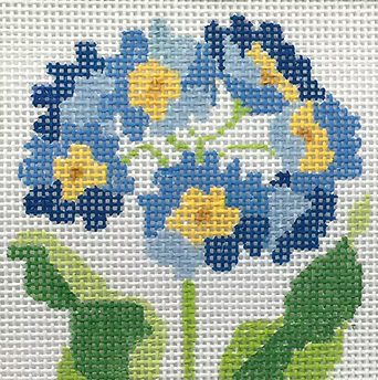 195A-1 (TS) Blue Primrose