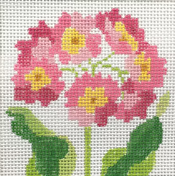 195A-2 (TS) Pink Primrose