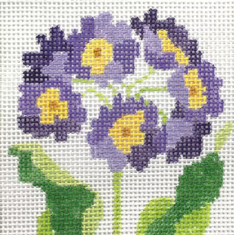 195A-3 (TS) Purple Primrose