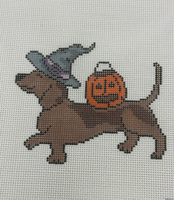 Arden Gray
Halloweenie Dog
Hweeniedog