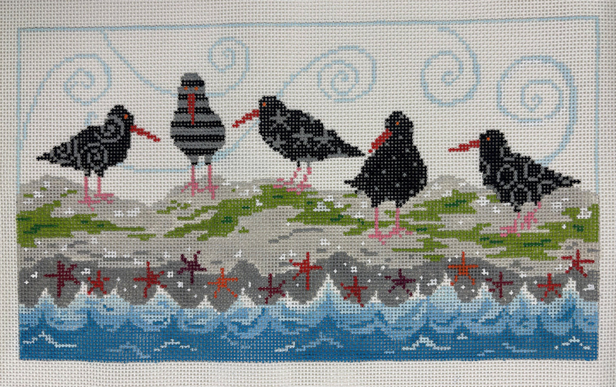 Oyster Catchers
