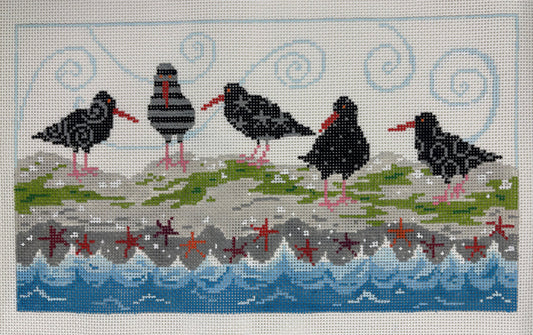 Oyster Catchers