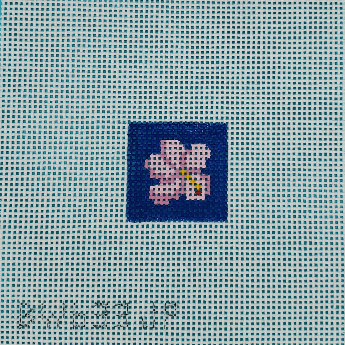 Bag Tag Insert Canvases on 13 Count