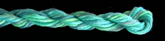 Waterlilies - 207 Bermuda Reef