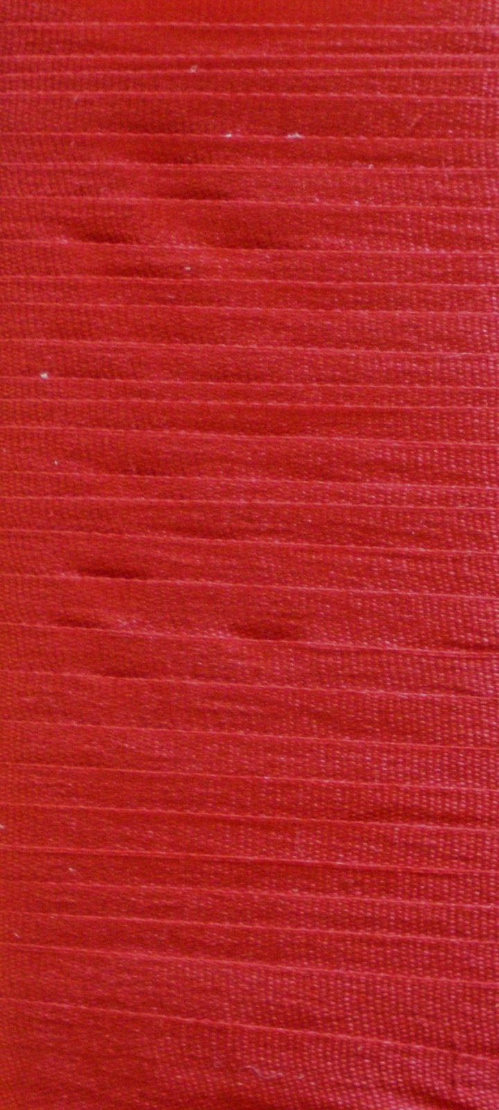 High Risk Red Silk Ribbon - 2361