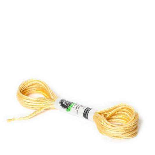 Soie D'Alger Silk - 2531 Epi