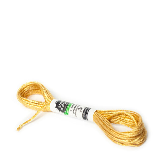 Soie D'Alger Silk - 2532 Epi
