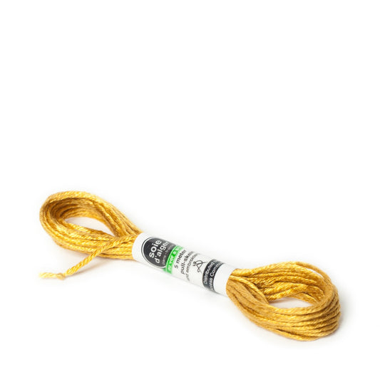 Soie D'Alger Silk - 2533 Epi