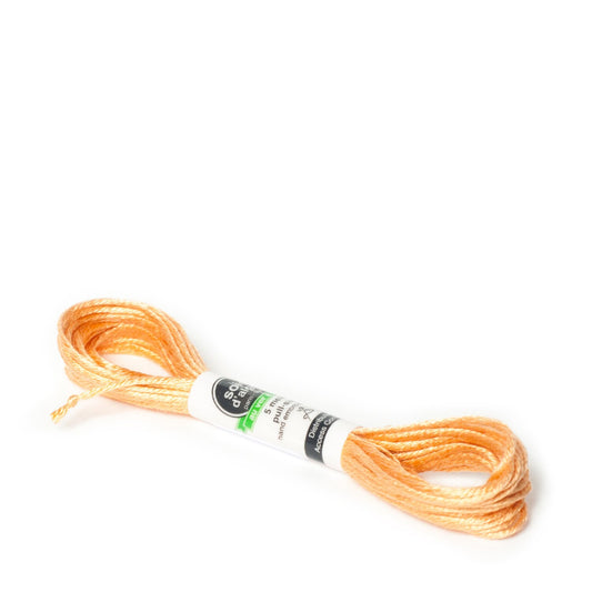 Soie D'Alger Silk - 2621 Acajou