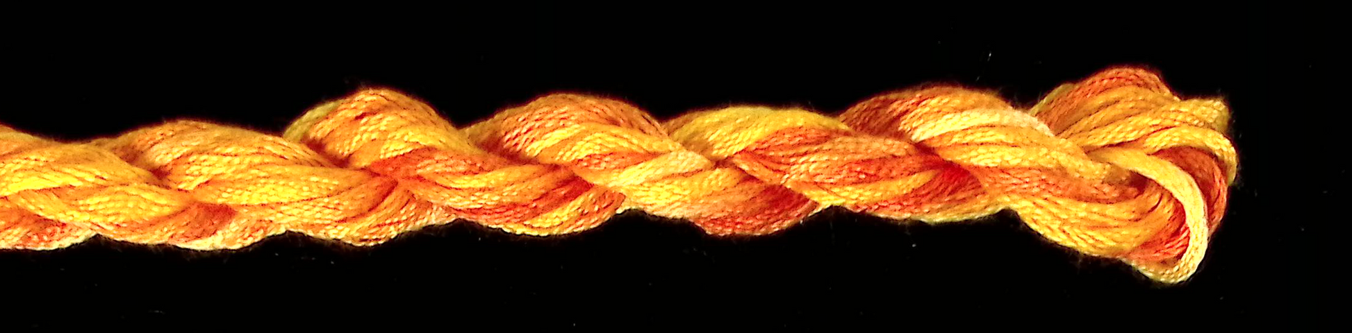 Waterlilies - 280 Calabasa