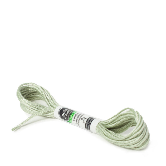 Soie D'Alger Silk - 3422 Sevres