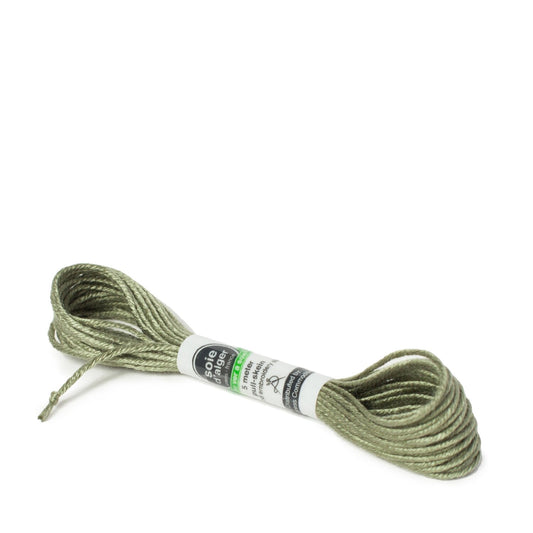 Soie D'Alger Silk - 3723 Vert Lys