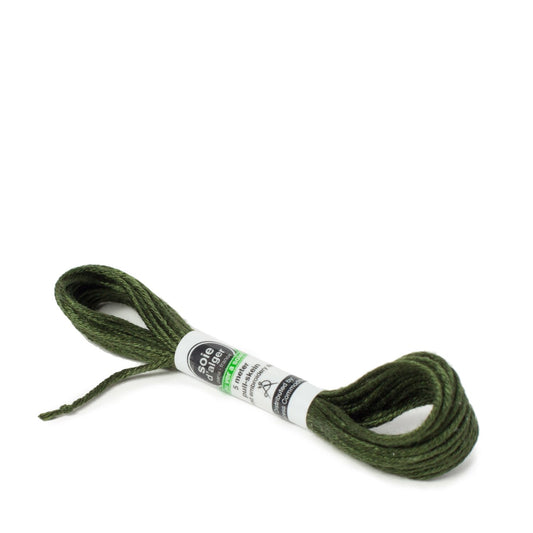 Soie D'Alger Silk - 3725 Vert Lys