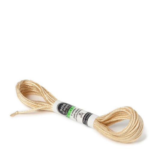 Soie D'Alger Silk - 3821 Tigre