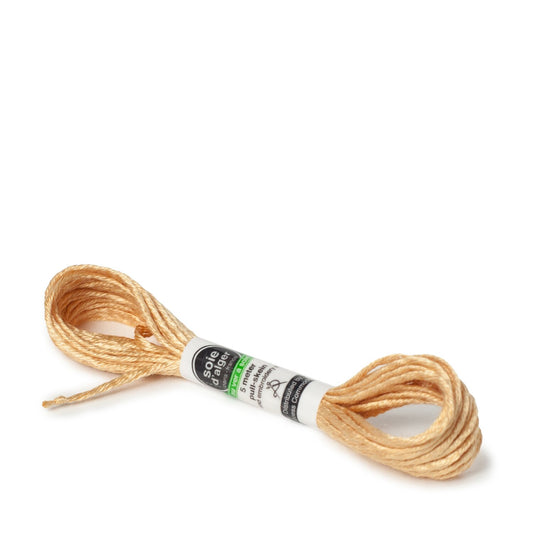 Soie D'Alger Silk - 3822 Tigre