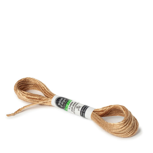Soie D'Alger Silk - 3823 Tigre