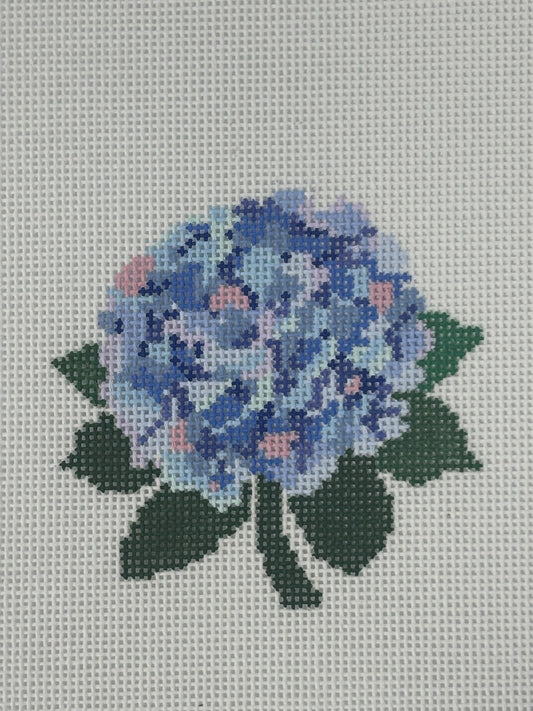 Hydrangea