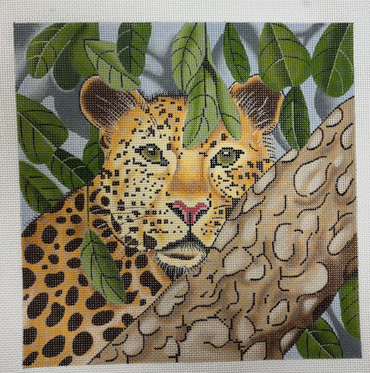 Alice Peterson
Tree Leopard
GE P398