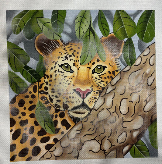 Alice Peterson
Tree Leopard
GE P398