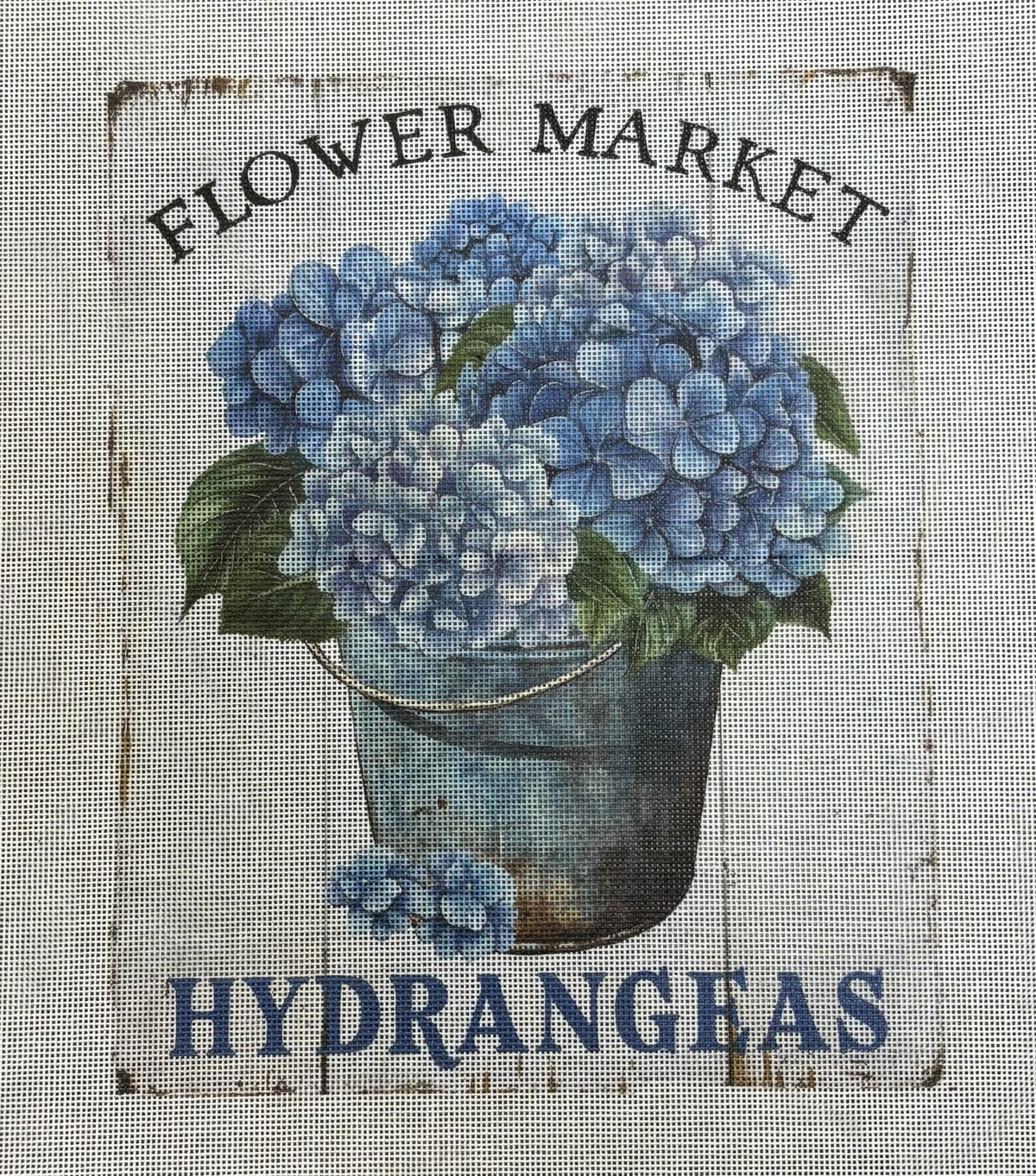 Daphne Skye
Flower Market Hydrangeas
EJ-13
