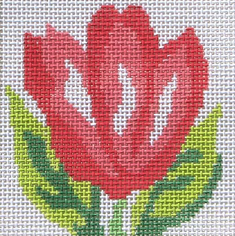 59E (TS) Coral Tulips