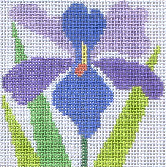 59F (TS) Iris
