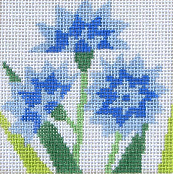 59J (TS) Bachelor Buttons