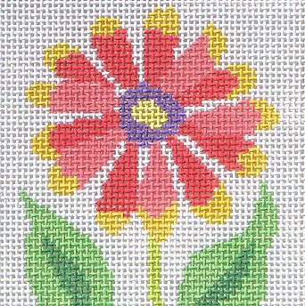 59N (TS) Blanket Flower