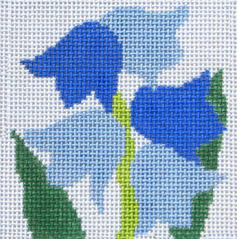 59Q (TS) Lily of the Valley
