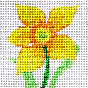 59U (TS) Daffodil