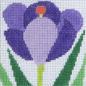 59I (TS) Crocus