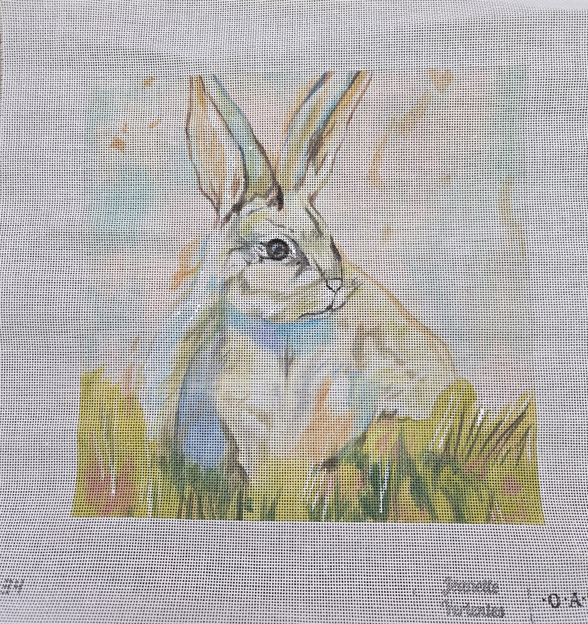 Oasis
Bunny
A34