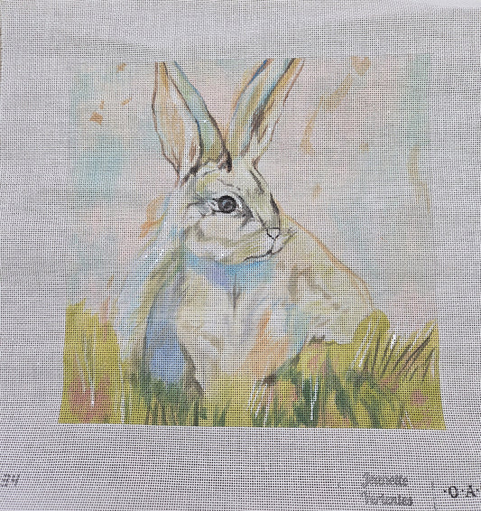 Oasis
Bunny
A34