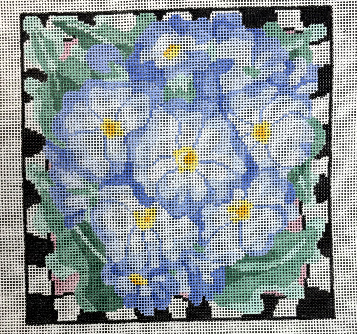 Jean Smith
Blue Delight
27B