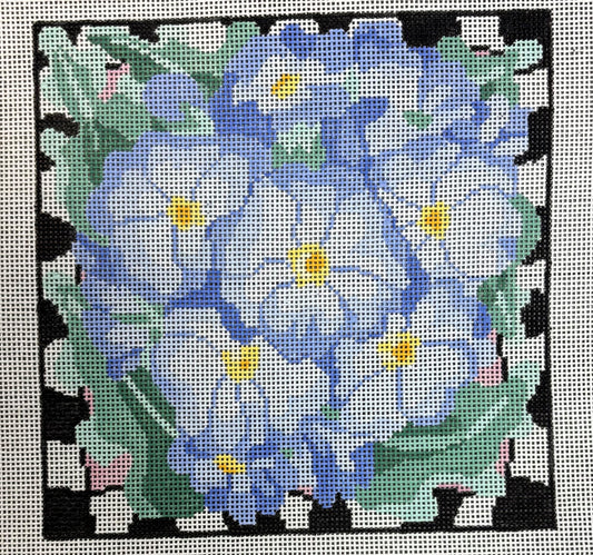 Jean Smith
Blue Delight
27B