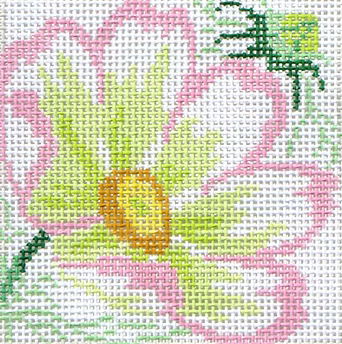 80D-4 (TS) Cosmos Coaster #4