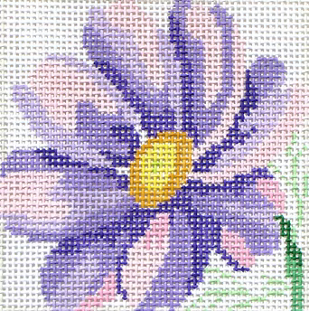 80D-5 (TS) Cosmos Coaster #5