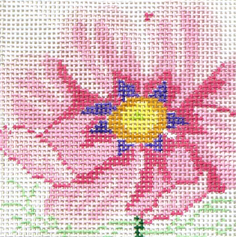 80D-6 (TS) Cosmos Coaster #6