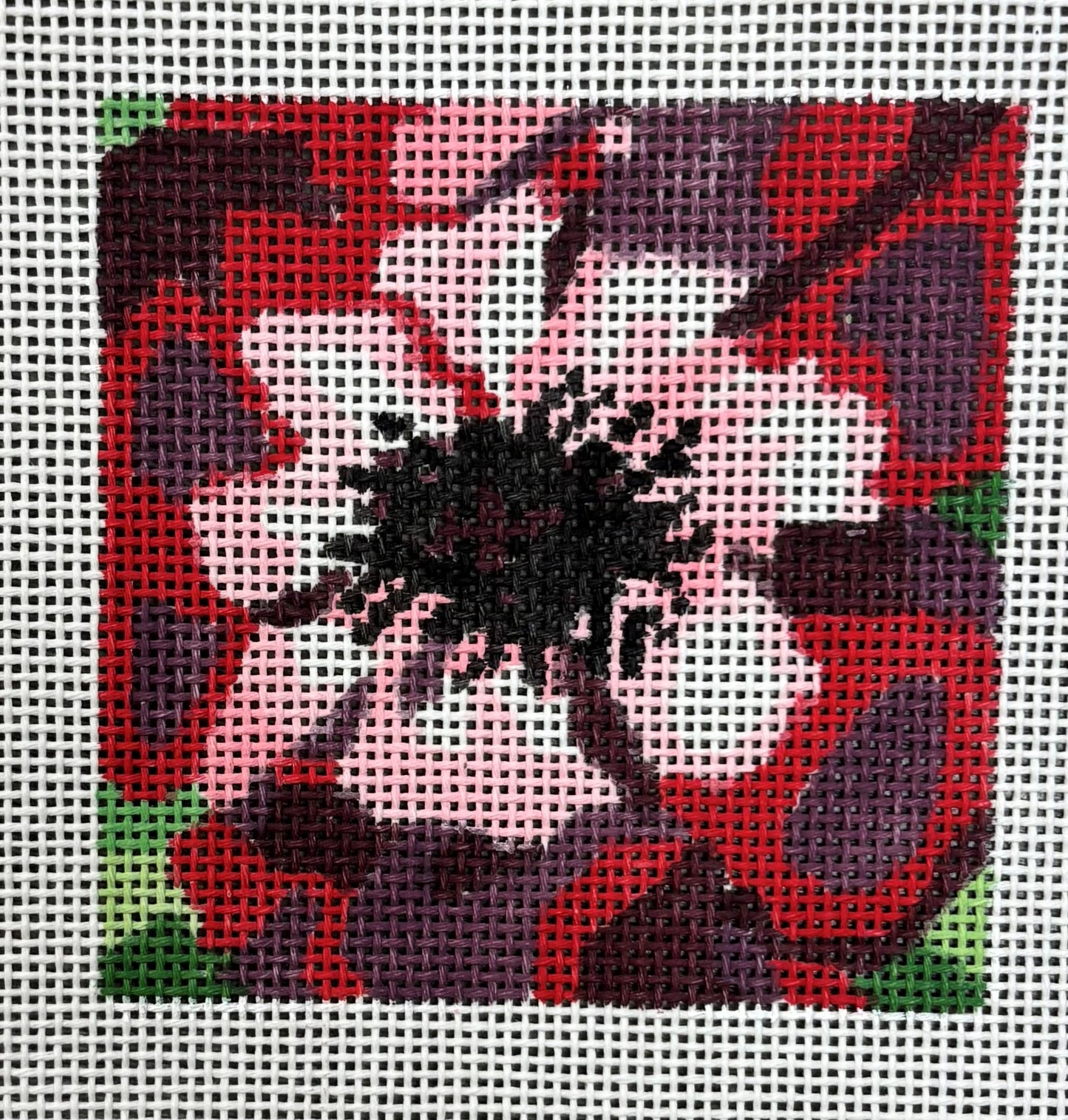 Jean Smith
Full Bloom Anemone
201G