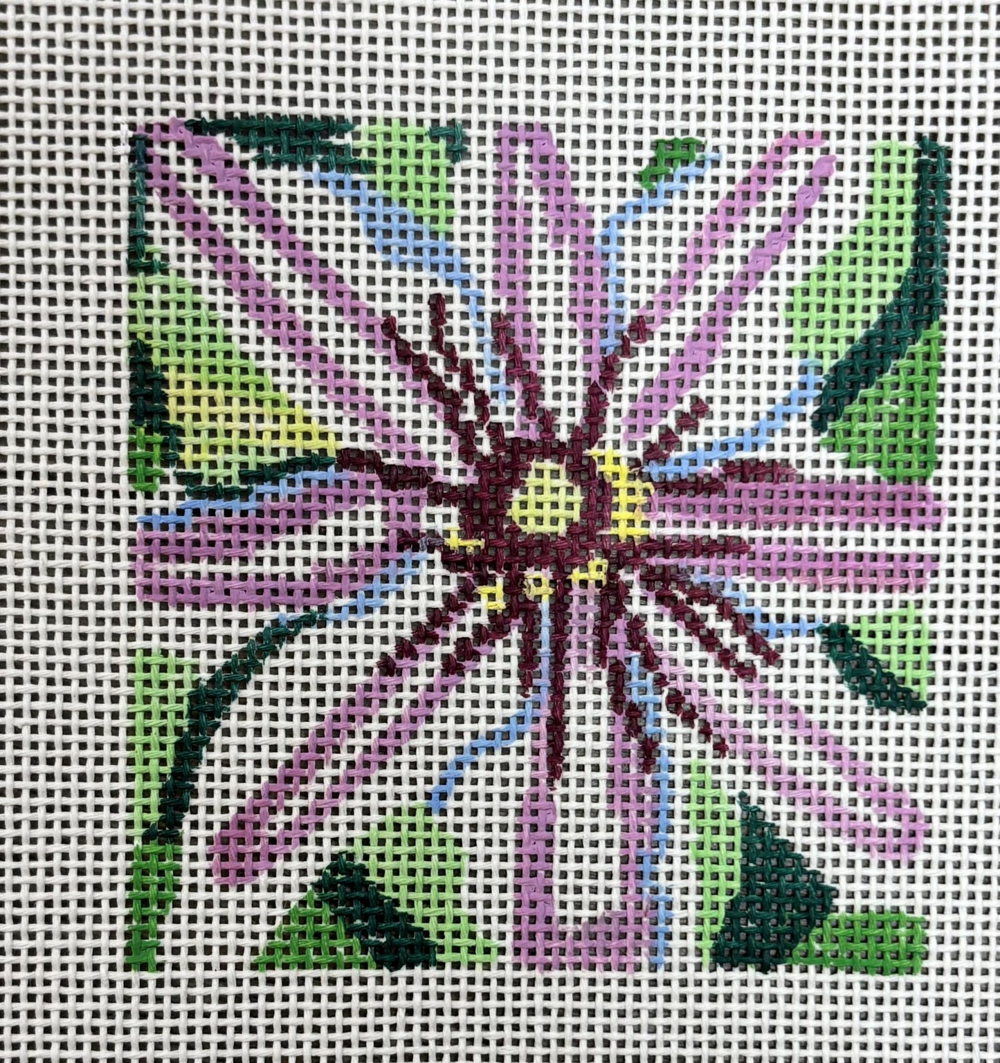 Jean Smith
Clematis
201B